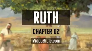 Book of Ruth | Chapter 2 | Video Bible
