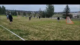 Beginner 