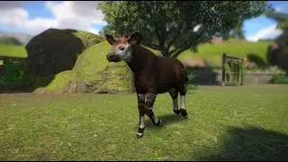 Okapi Habitat | Planet Zoo Gameplay | Silverton Zoo Franchise | Pt 4