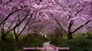 Imagined Herbal Flows - Departure