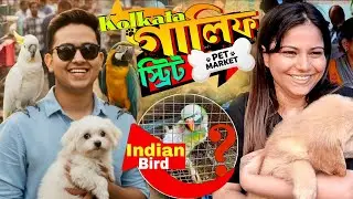 Cheap Pet Prices in Kolkata Galiff Street 2026!!🦃🐕গালিফ স্ট্রীট পেট মার্কেট:পশুপাখির স্বর্গরাজ্য!!🦜🐶