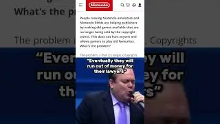 Please don&rsquo;t sue me Nintendo