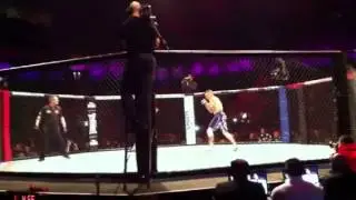 Jimmy judo wallhead bamma 12