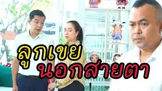 ลูกเขยนอกสายตา