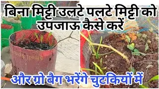 बिना मिट्टी उलटे पलटे निकाले मिट्टी को उपजाऊ कैसे करें/बड़े बड़े ग्रो बैग भरेंगे चुटकी बजा के।
