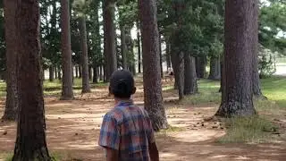A Few Drives from Brahan Springs In Huntsville Alabama