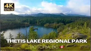 4K Walk at Thetis Lake Regional Park | Trails, Lakes & Seymour Hill