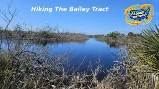 A Hike Through the Bailey Tract, Sanibel, FL, 4K, ASMR, No Commentary or Music