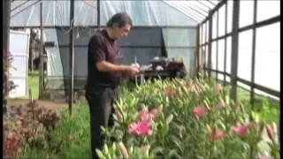 FAUBA - Institucional Facultad de Agronom&iacute;a