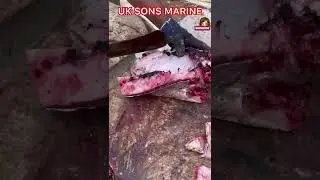 TREVALLY FISH CUTTING SKILLS | FISH CUTTING VIDEO | #kasimedu | #Shorts | UK SONS MARINE