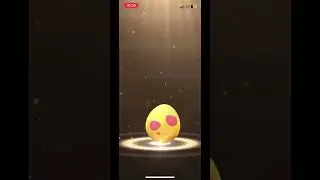 Random egg