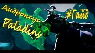PALADINS : Обзоры и гайды! Андроксус!