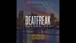 DO SHOCK BOOZE - Riffs and Species (Original Mix) [Beatfreak Recordings]
