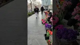Tbilisi, Liberty Square, 14.02.2024, Georgia