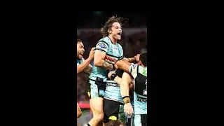 Party time at the Sharks