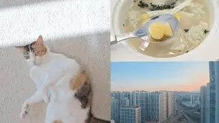 고양이와 맞이한 2026년 새해 첫날🌅