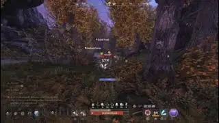 New World Musket PVP S10
