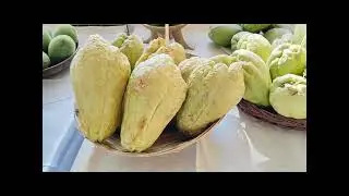 Kohima nagaland kisama Heritage Village #local #vegetables #fruits #viralvideo #likeforlikes 