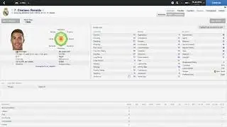 Playing: Football Manager 2014