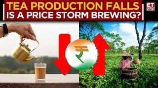 India&rsquo;s Tea Output Falls On Adverse Weather! Prices To Surge? | Arijit Raha | Commodity Central