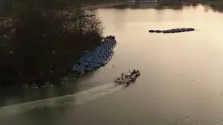Serpentine Lake, London - Phoslock Application