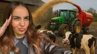 A Week In The Life of a British Farm Girl | Tractor Work & Wild Cattle Chaos