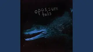 En Fin El Mar