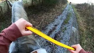 12/12/21 Gopro horse trail ride Riding my gaited horse down the road!