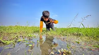 Amazing✅Fishing and🐟Searching By Hand In Village Beel