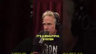 Adam Curry Breaks Down Bitcoin&rsquo;s Edge