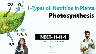 Types of Plant Nutrition | Photosynthesis 1 | NCERT Mapped NEET Biology