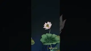 Lotus Pond in the Misty Moonlight #anime
