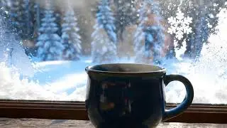 Gentle Stream Jazz Piano at Forest Retreat 🌲 Natural Peaceful Background Music for Meditation