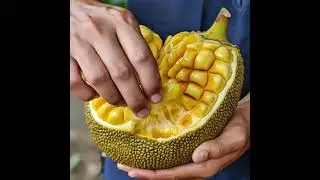 Jack Fruit ASMR | Relaxing Visuals & Sounds