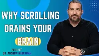 Why Your Brain Feels Tired After Scrolling Your Phone