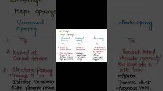 Anatomy series part 3 #fmge_mci_exam #fmgeaspirant #fmgetopper #anatomy
