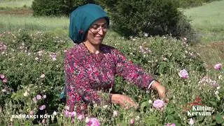 Kökleri Bulgaristan’da, Yüreği Burdur’da: Başmakçı Köyü’nün Renkli Muhacir Dünyası