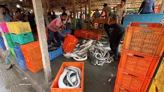 Big Fish Market In Mohana Digha West Bengal India | Crazy Market Vibe