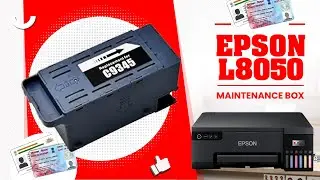 Epson L8050 Maintenance Box என்ன  Waste Ink Box Reset & Replacement in Tamil