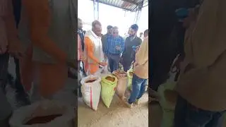 рыночная цена грамма