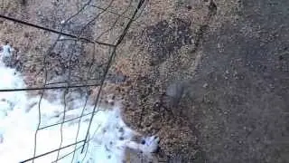 Smoking sidewalk