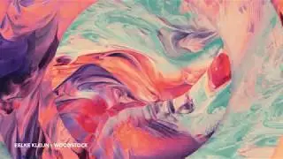 Eelke Kleijn - Woodstock