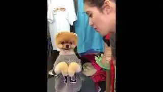 Tenth musical.ly jiffpom