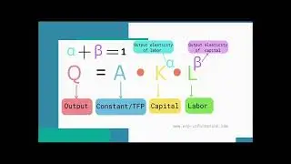 Deterministic Model of Optimal Growth, Final Video Trimmed
