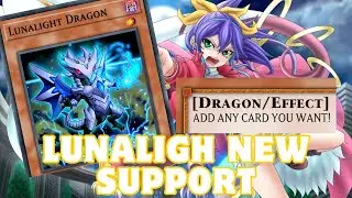 WAIT...This is Lunalight new SUPPORT!