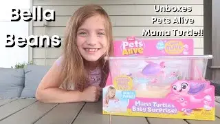 Pets Alive Mama Turtle and Baby Surprise! / Bella Beans LOVES Pets Alive! / Let's Open Them!!!
