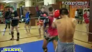 IMPACTS 33 AQUITAINE GYM  