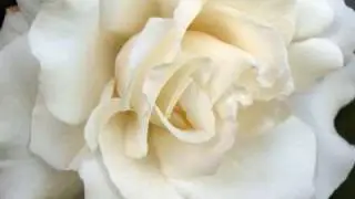 ABUSE SONG BY BRITTK  FOR WOMEN WHO HAVE BEEN ABUSED
