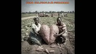 Dona Bia ft Domingos M. Tchamaba_Pinango_2025