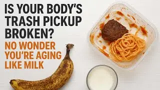 Is Your Body's Trash Pickup Broken? No Wonder You're Aging Like Milk